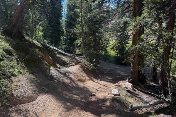 Davis Spur Trail 717C 