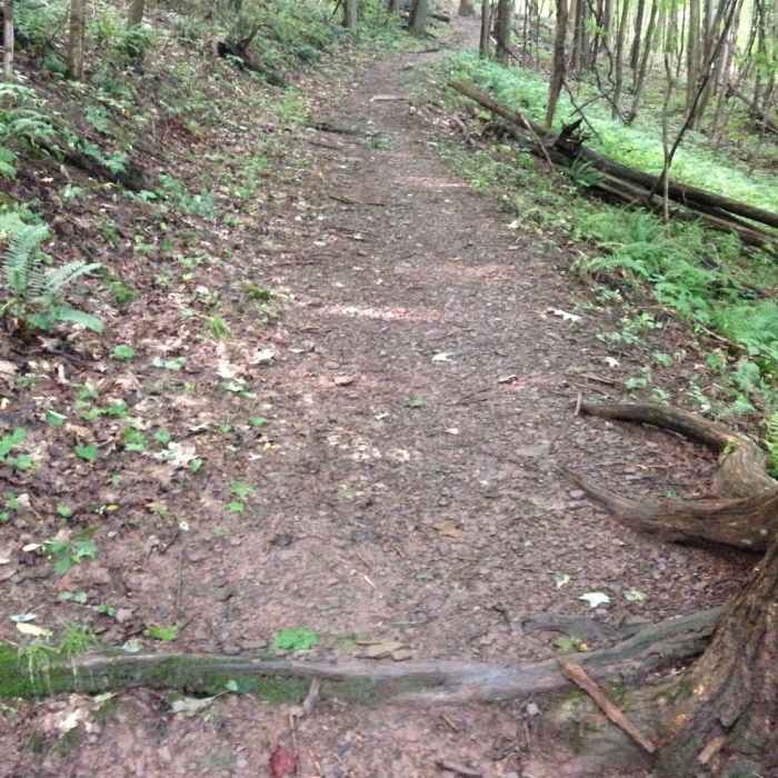 Near Laurel Highlands Trail: Ohiopyle State Park