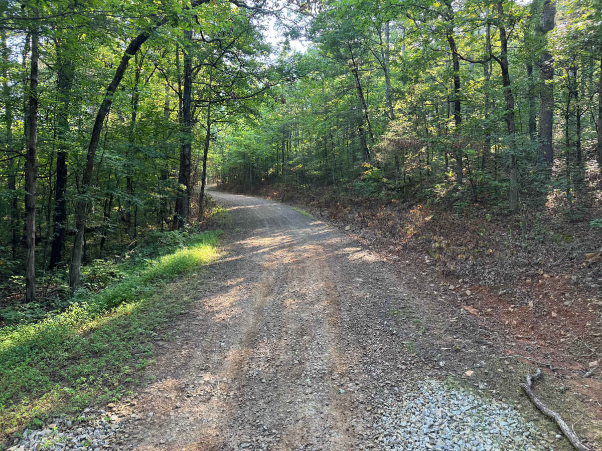 FS 1441 trail photo