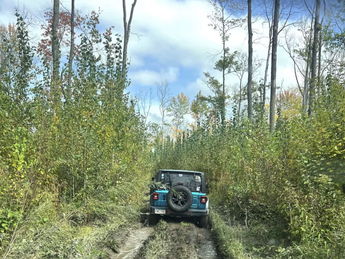 Mille Lacs Core Trail photo 2