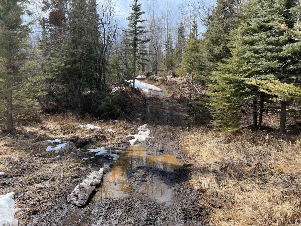 Dan Creek photo 5