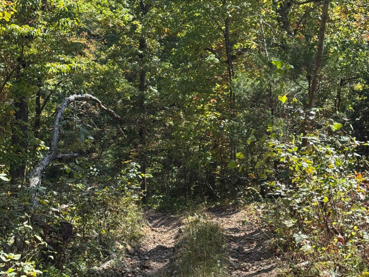 Captain Hook trail photo
