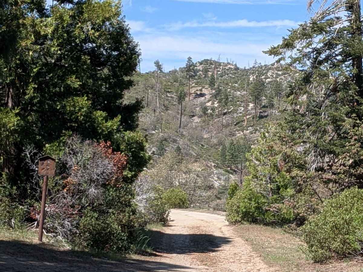 Cherry Hill - FS 22S12B trail photo