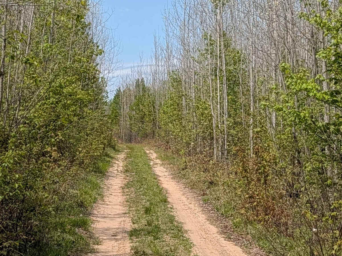 West Boehm Road photo 6