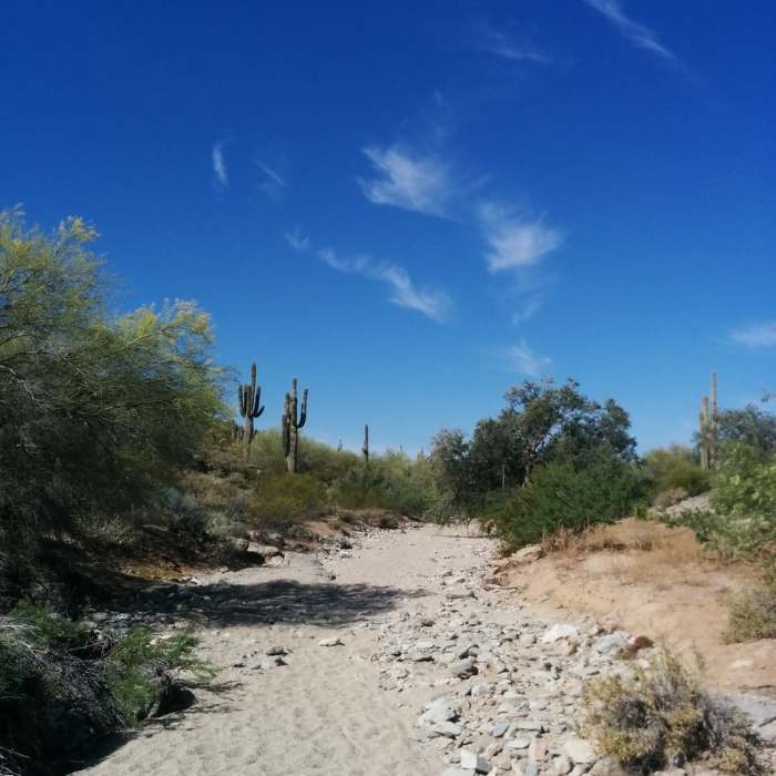 Near Warpaint Loop