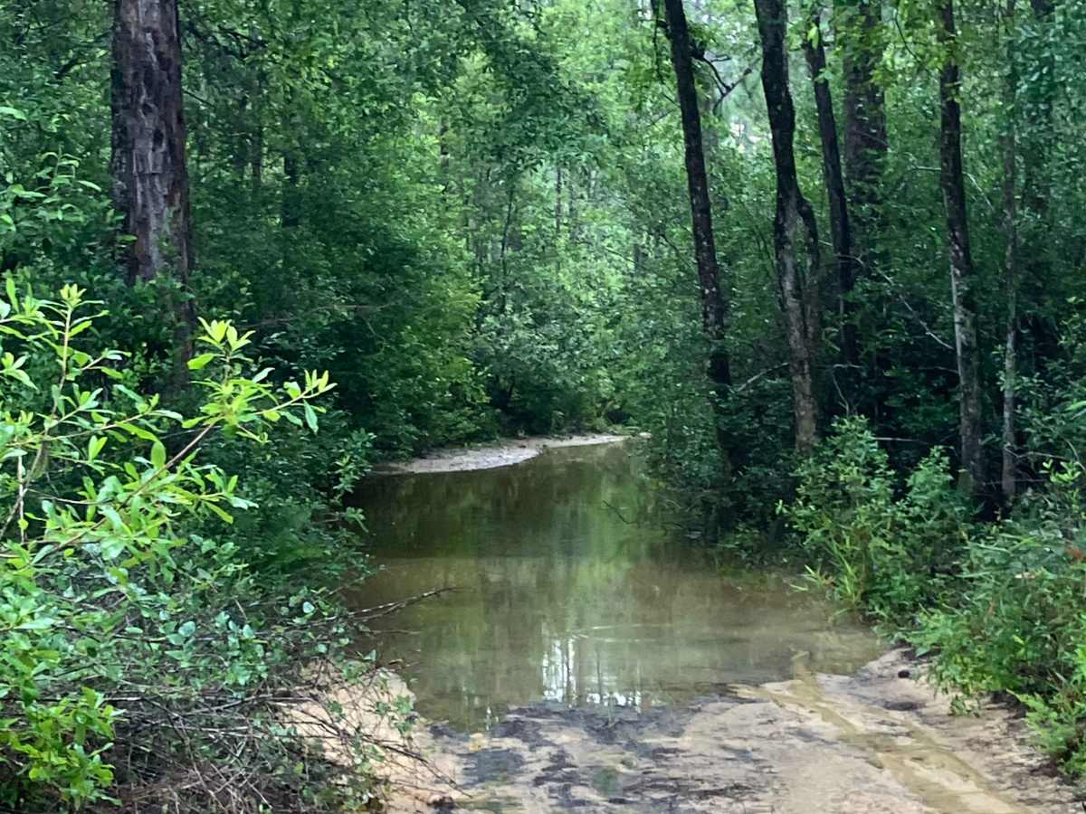 Pringle Road trail photo