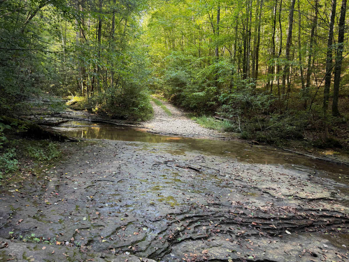 SW22 trail photo