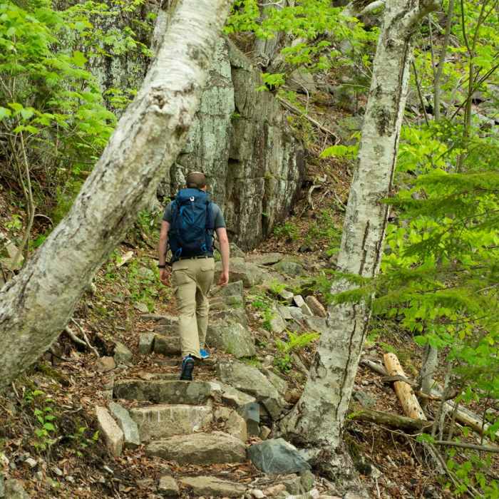 Near Beech Cliff Trail Near Beech Cliff Trail