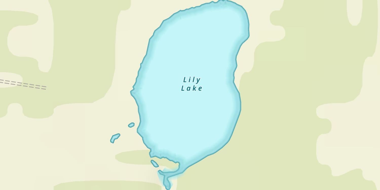 Lily Lake