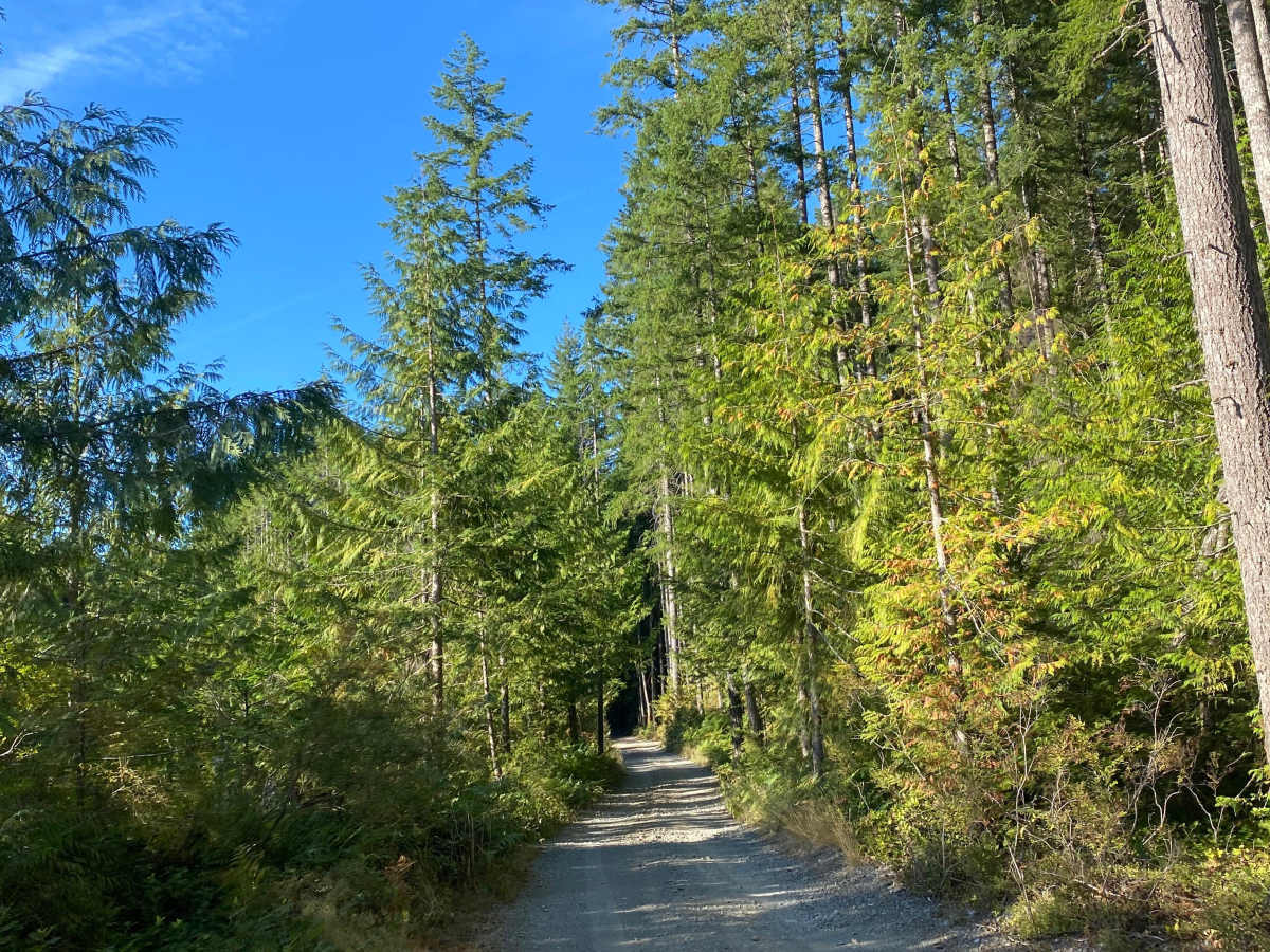 Big Bay Recreation Site photo 6