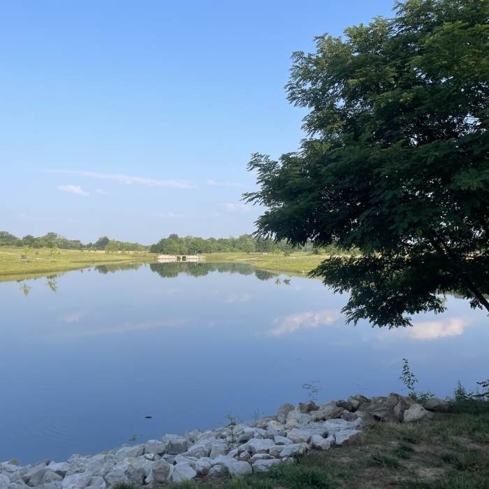 Near Three Springs Park