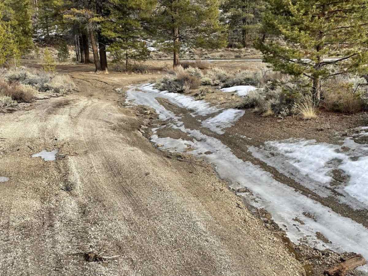 Whoops rd. trail photo
