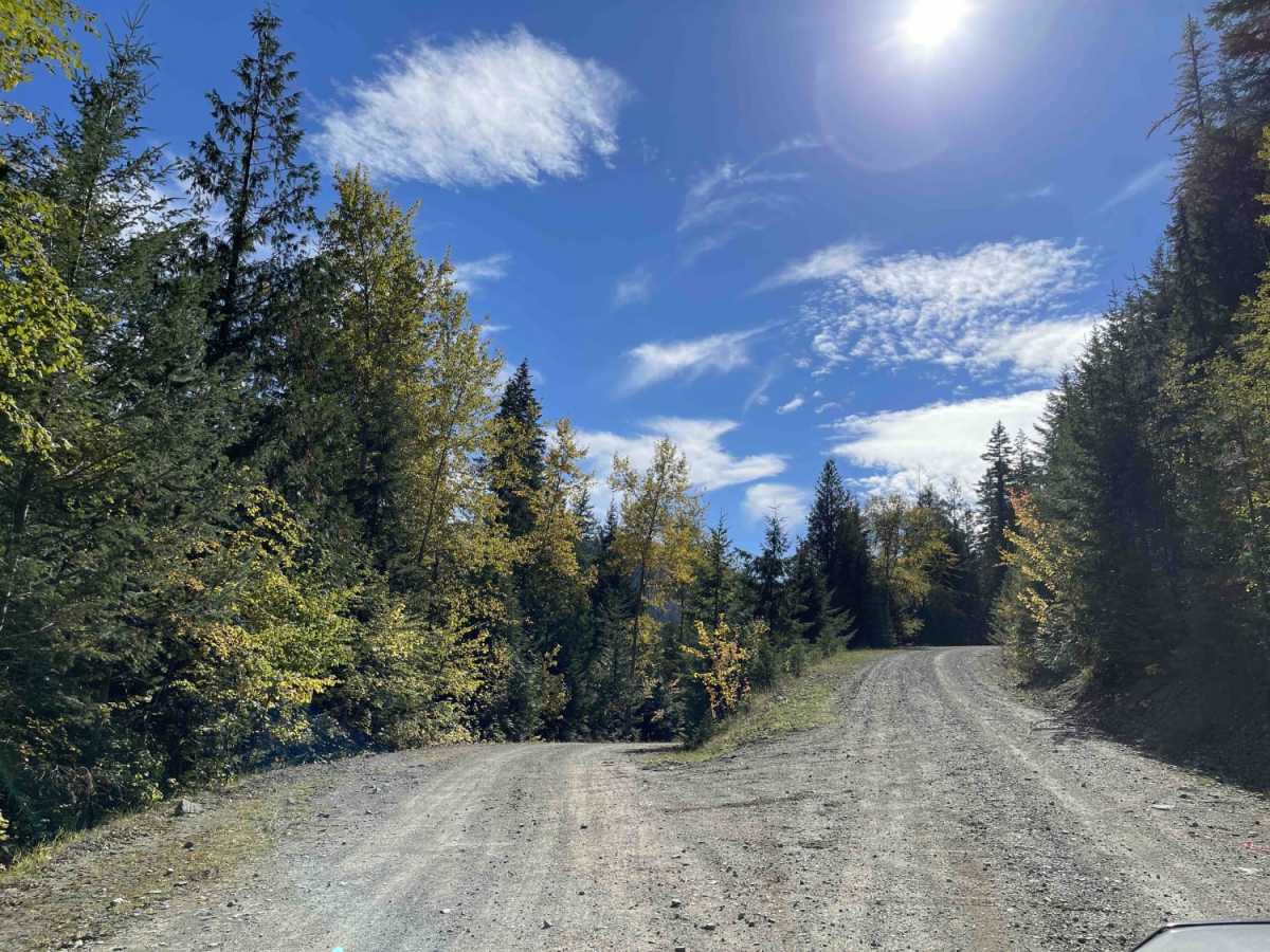 Heckman Creek Road photo 2