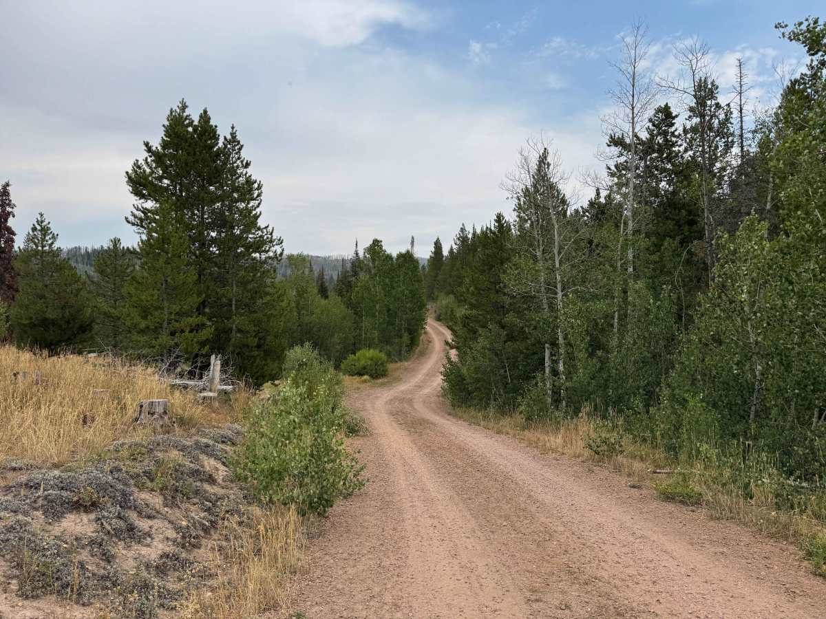 Morgan Creek Road - FS 442 photo 4