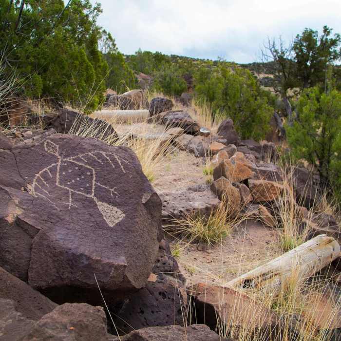 Near Ultimate Petroglyph Trail