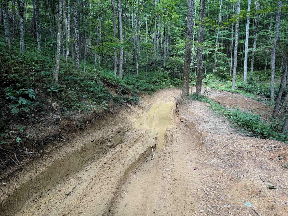 Broyles Branch Trail 17  photo 3