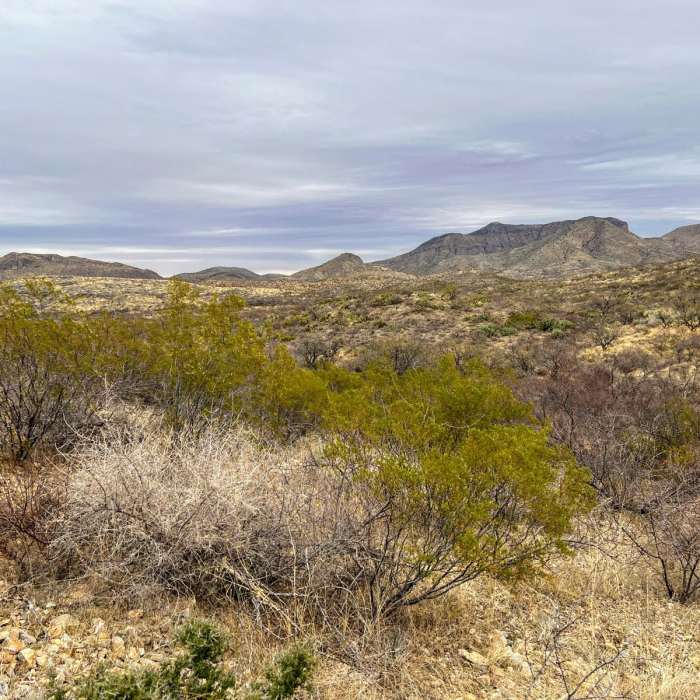 Near Arizona Trail Passage 7: Las Cienegas