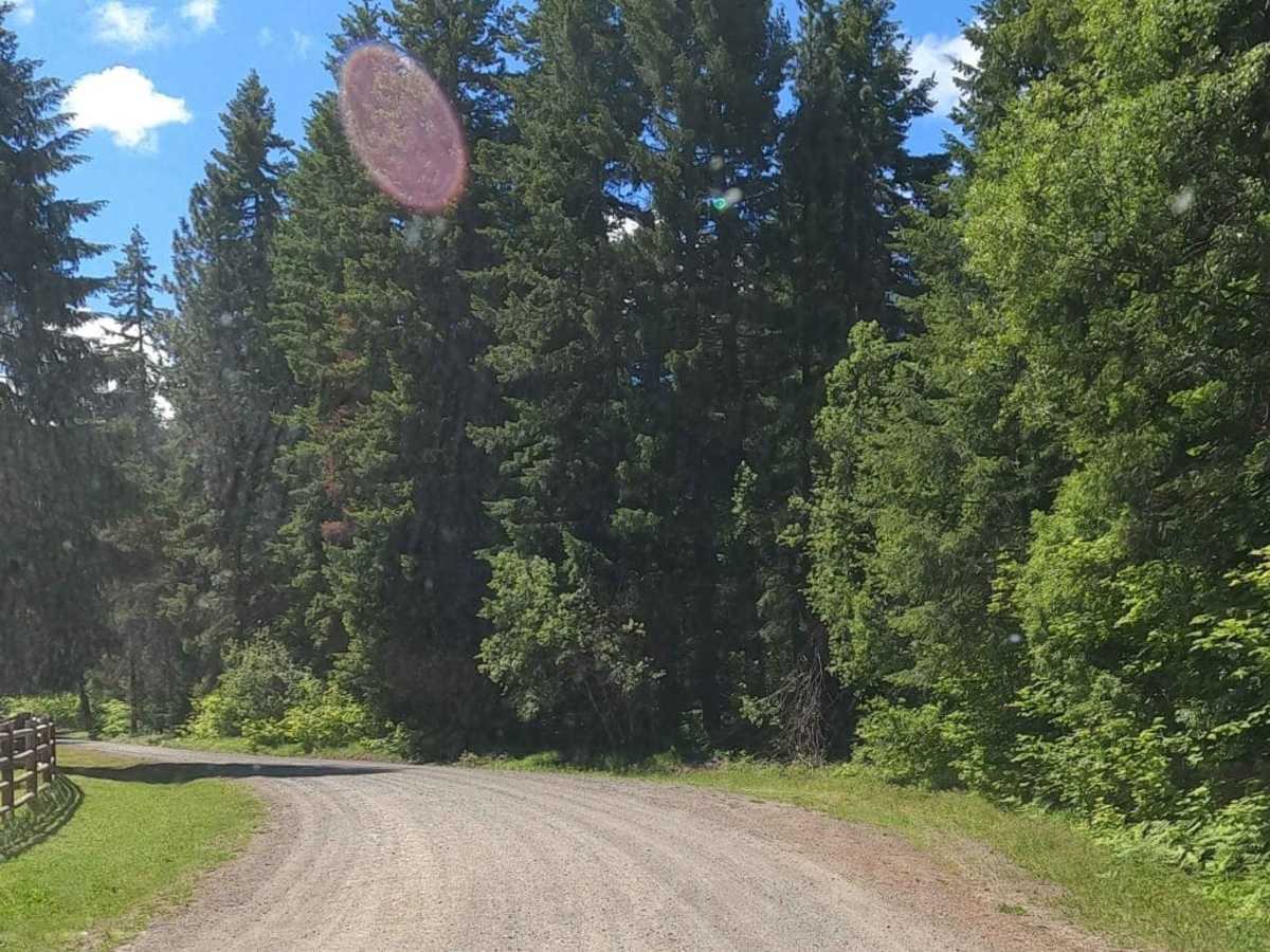 South Cle Elum Ridge - NF3350 photo 2