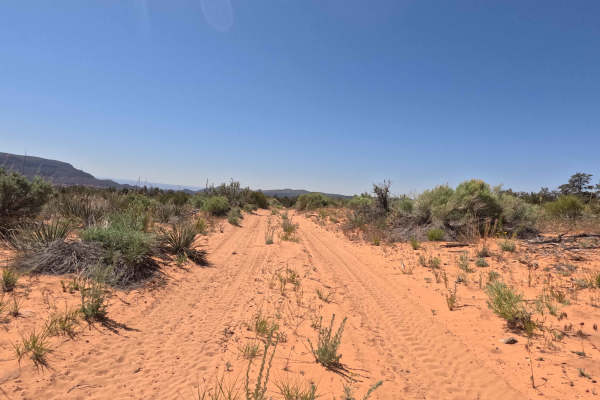BLM 33B