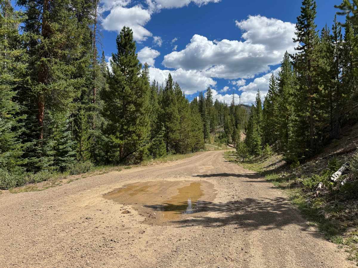 East Fork Road photo 4