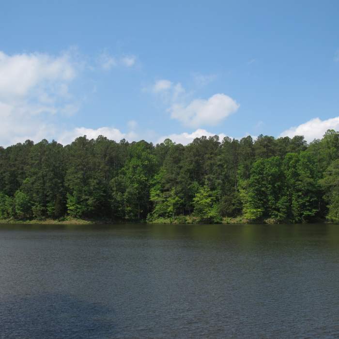 Reedy Creek Lake Near Turkey Creek/Cedar Ridge Loop