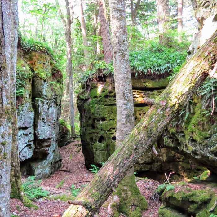 Beartown State Park features these amazing, pitted, sandstone formations throughout the boardwalk. Near Beartown State Park