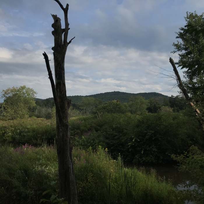 Near Sacred Way Trail