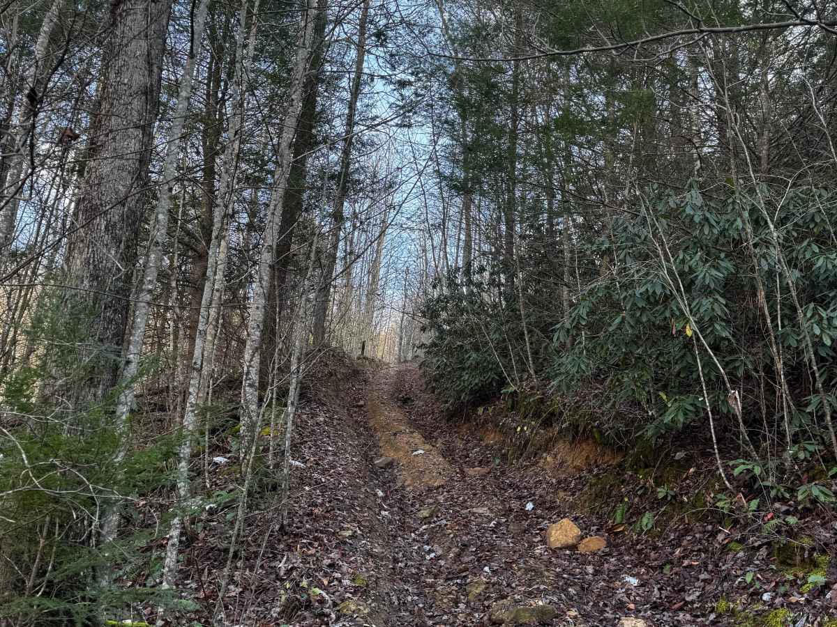 Boneyard Trail 2 HOTDAMN photo 2