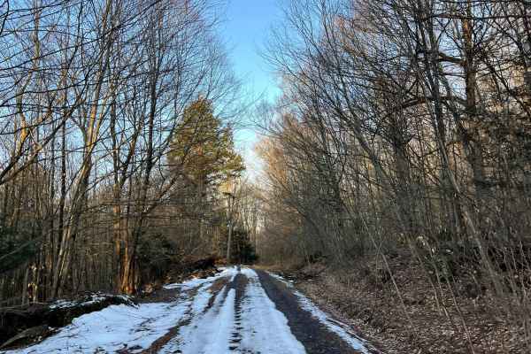 Meade Run Trail - FS 457A