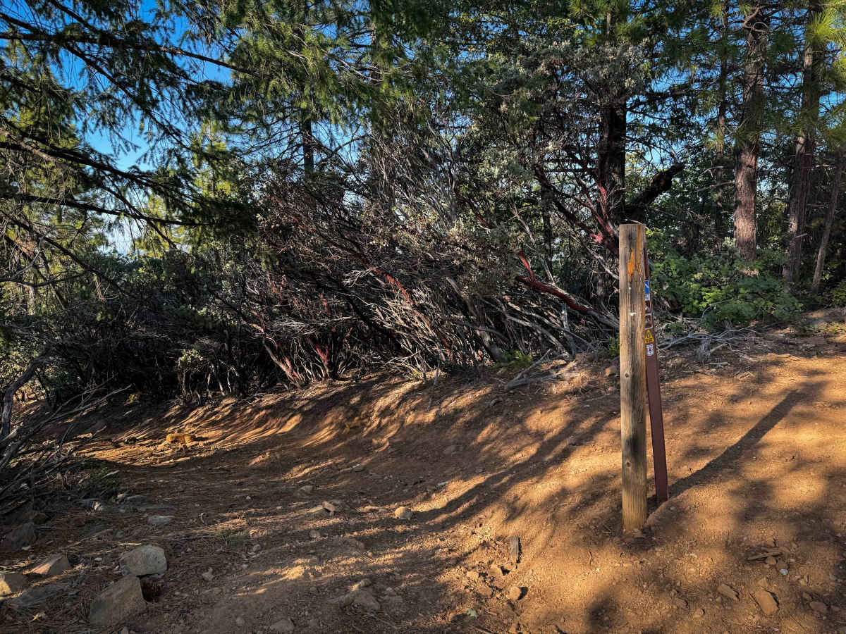Trail 4-1 (11E35)  photo 4