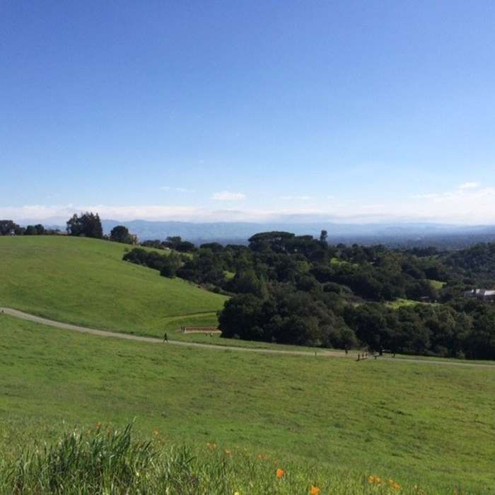 Near Cora and Seven Springs Loop