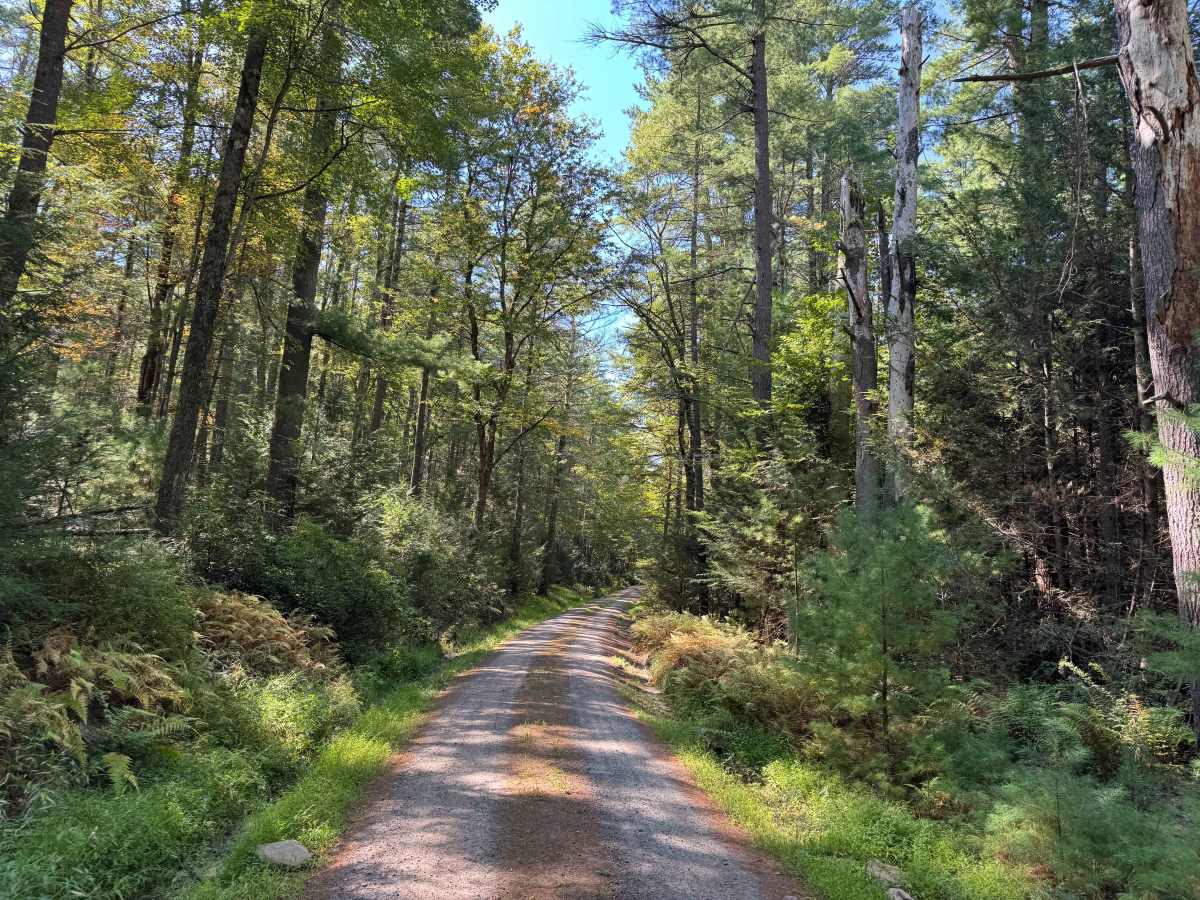 Lebanon Road photo 5