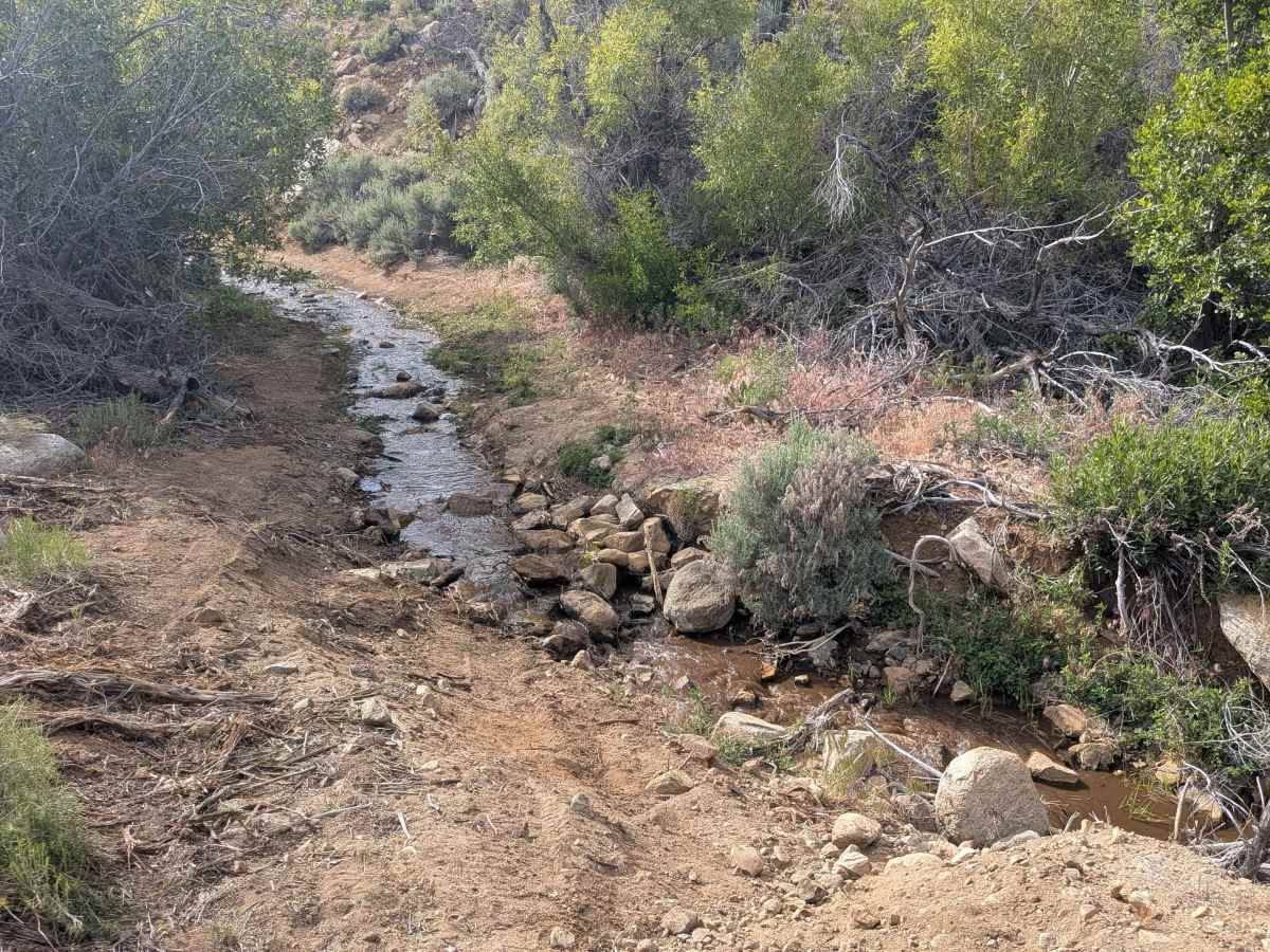 BLM SE741 photo 2