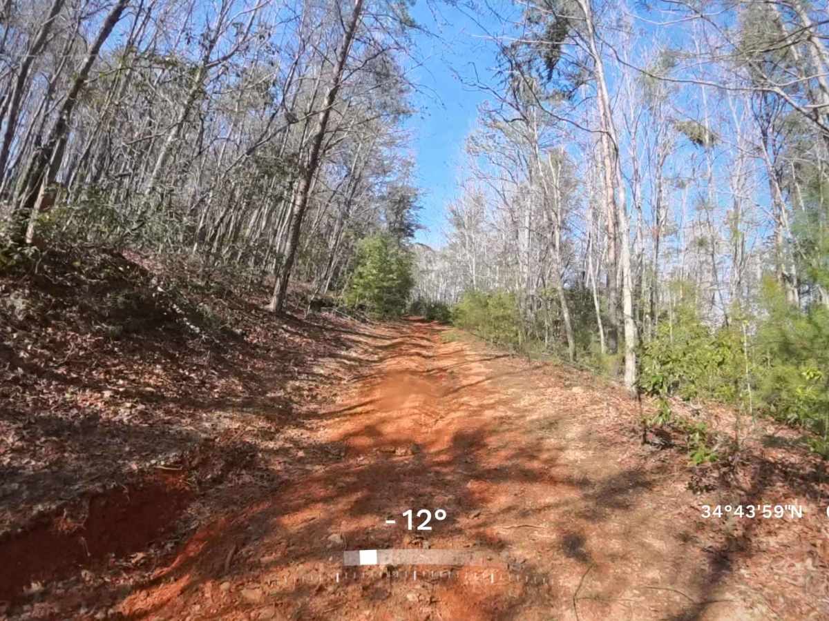 Flat Creek Road photo 5