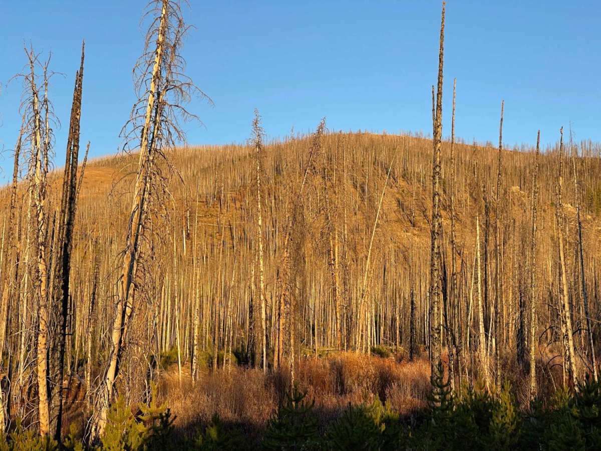 Horse Creek photo 5