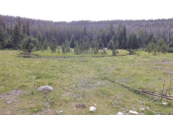 Caruthers Lake