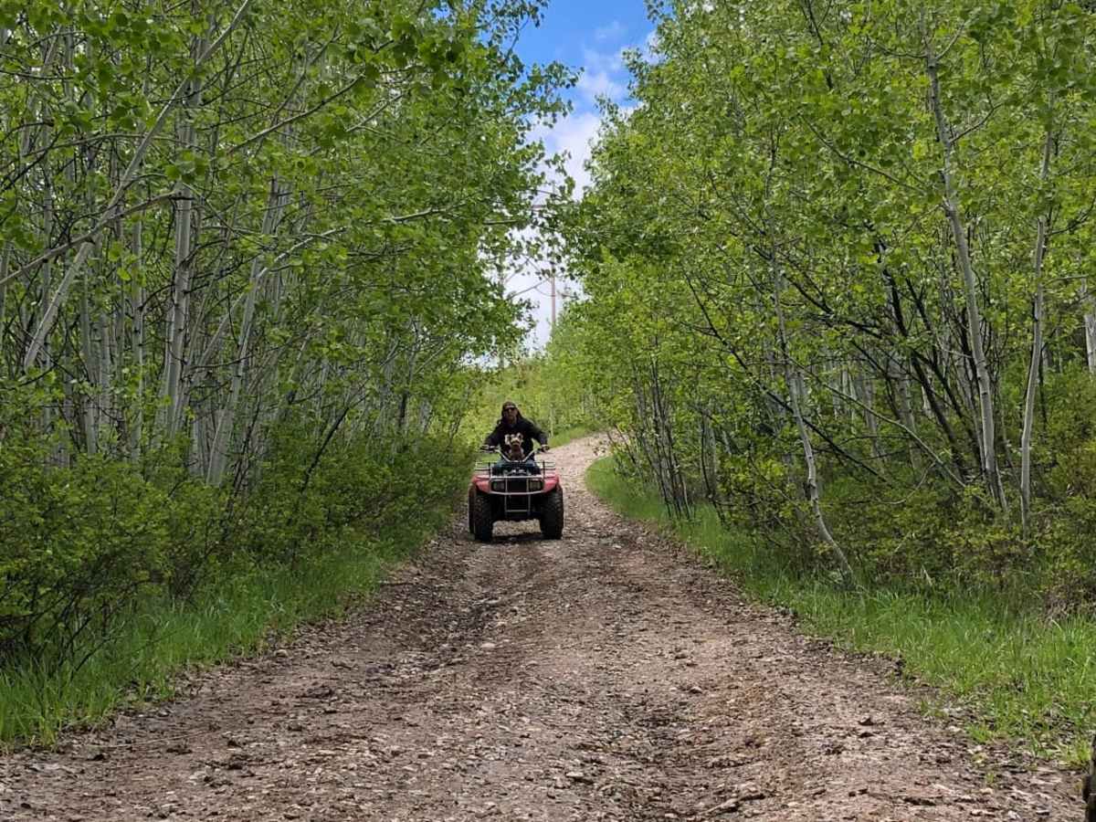 Stewart Trail trail photo