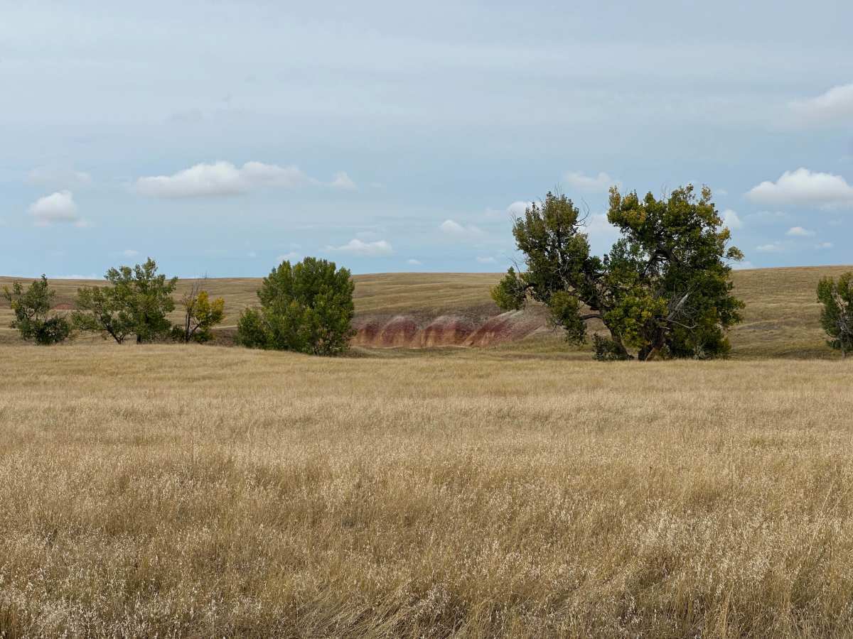 Orella Road photo 3