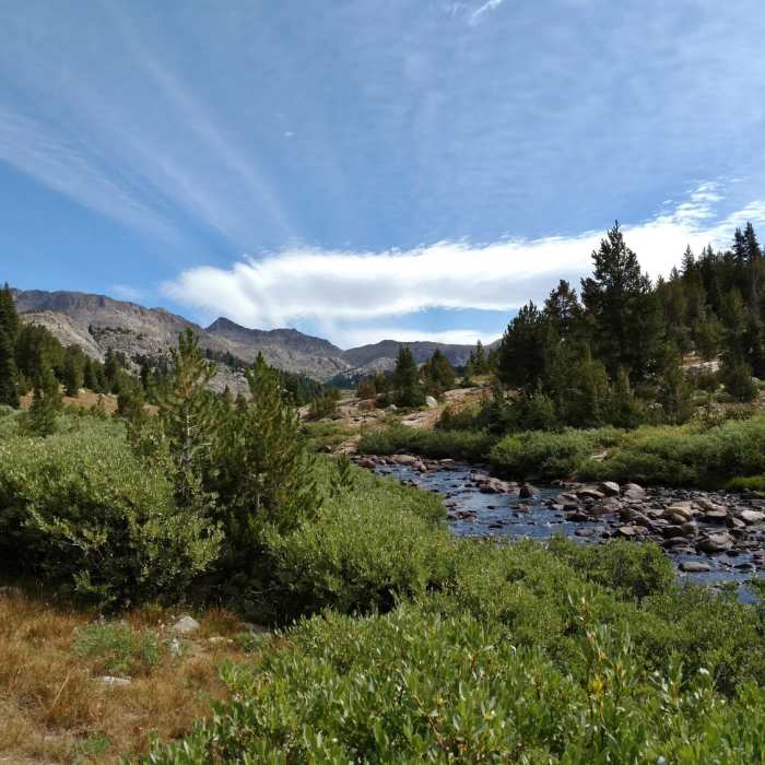 Near Middle Fork Lake Trail Near Middle Fork Lake Trail