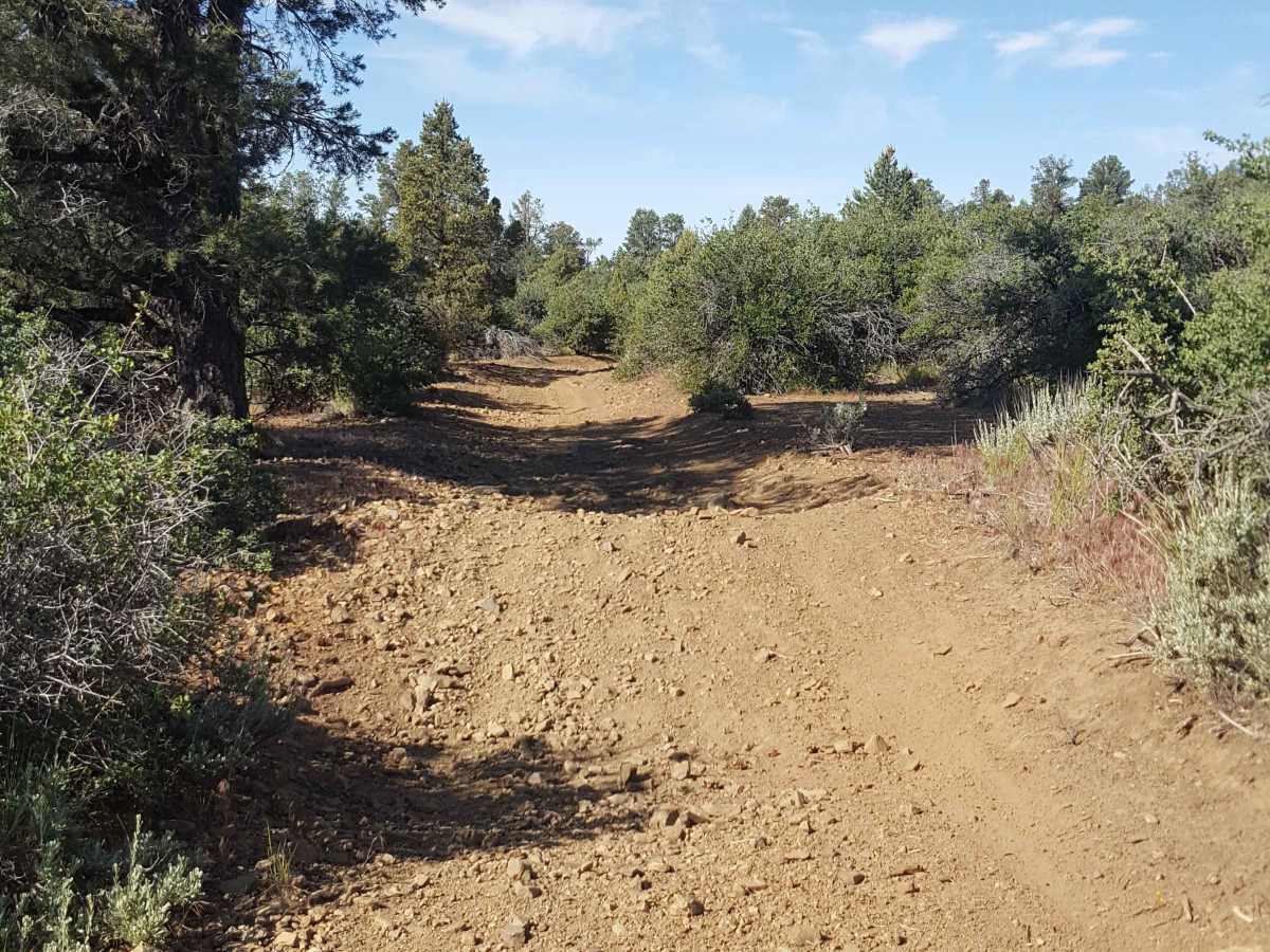 Gold Hill OHV - 19W17 photo 5