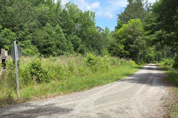 Gaddy Road