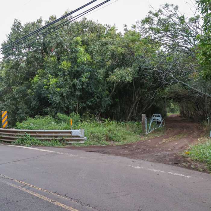 Near Ili'ili'opae Heiau