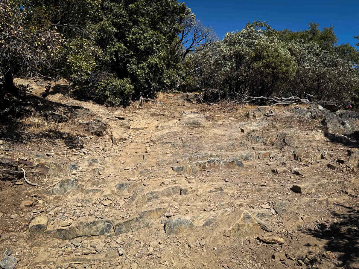 Trail 1 (Advanced) (11E23)  trail photo