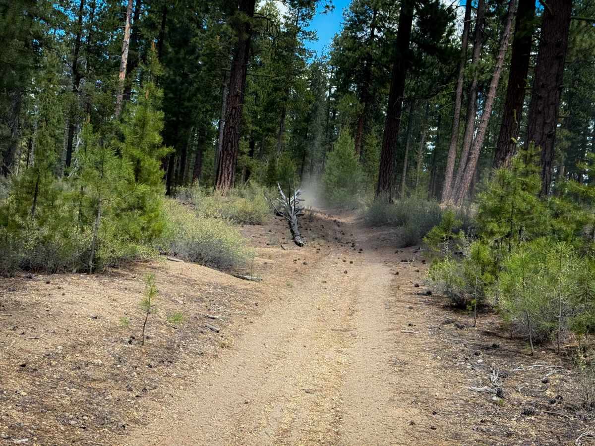 Trail 12  photo 3