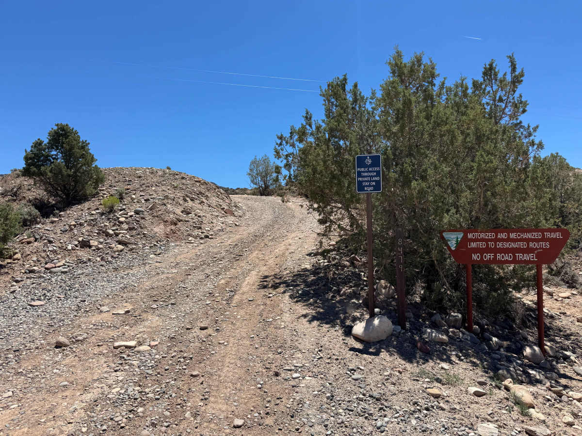 BLM 8479 photo 3