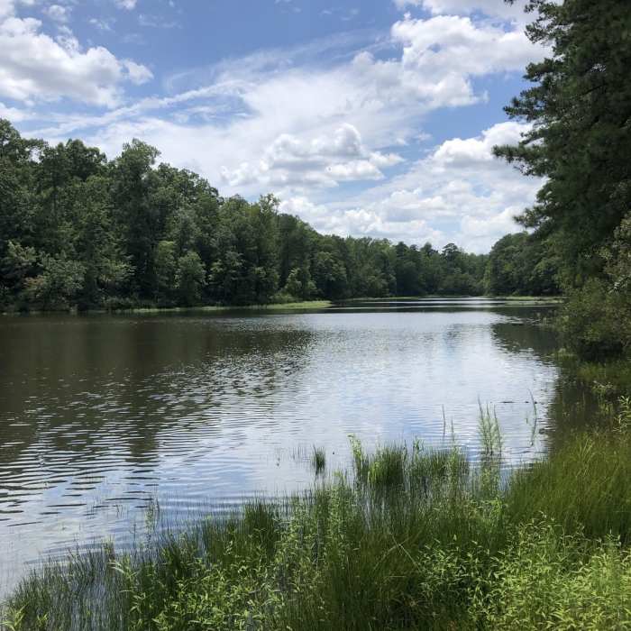 Near Neuse River Trail