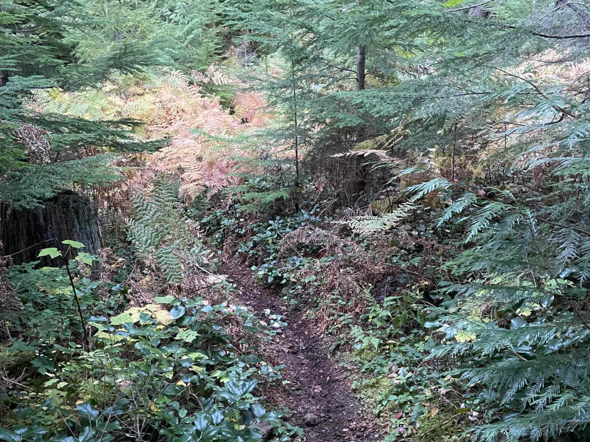 Bridge Climb trail photo