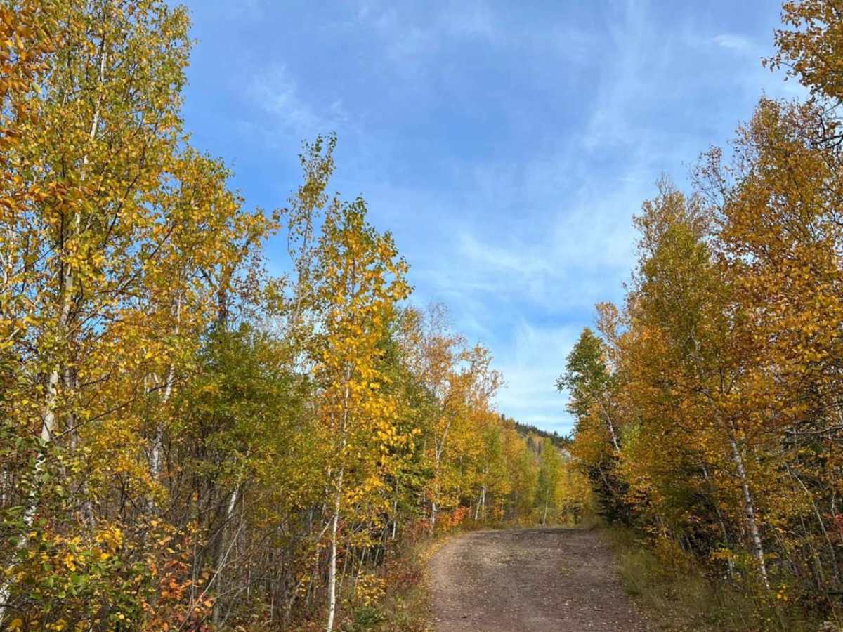 Temperance River Backroad Scenic Drive photo 5