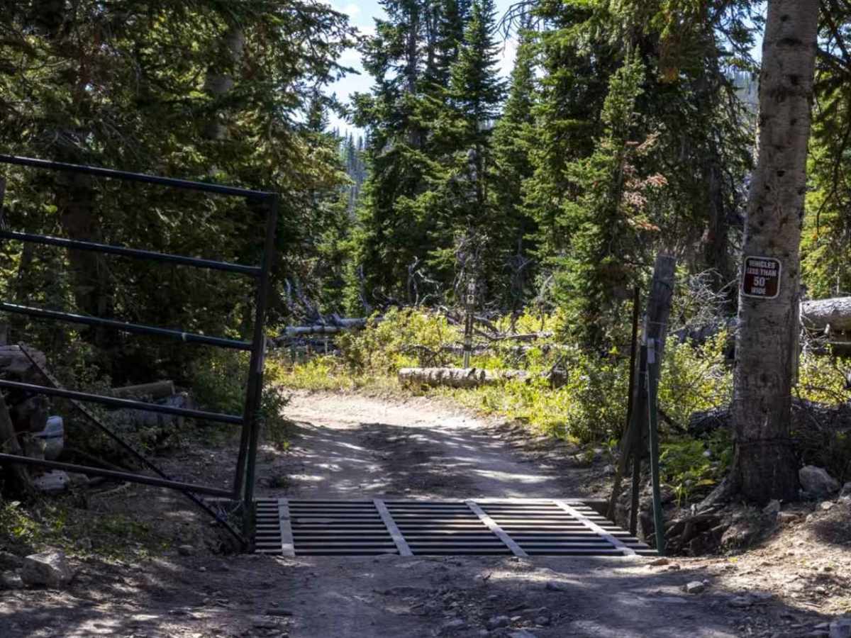UM Pass Trail photo 2