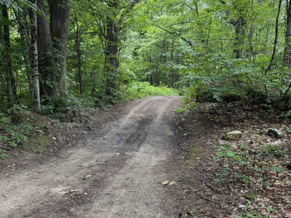 Dummer Road photo 2